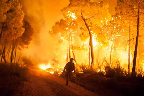 kebakaran-hutan-madrid