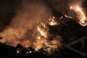 kebakaran_hutan_malam