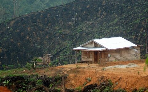 Kerusakan-Hutan-Riau