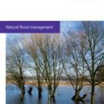 Nature Flood